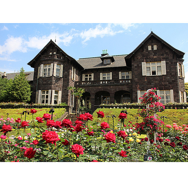 音楽会やライトアップも!旧古河庭園で「春のバラフェスティバル」
