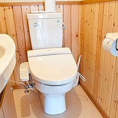 トイレを掃除する頻度を女性に聞いてみた 全くやらないという強者も Peachy ライブドアニュース