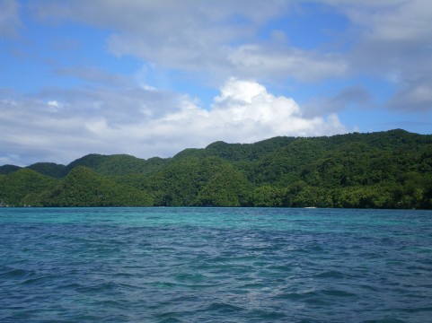 パラオ国旗は日本が由来 ライブドアニュース