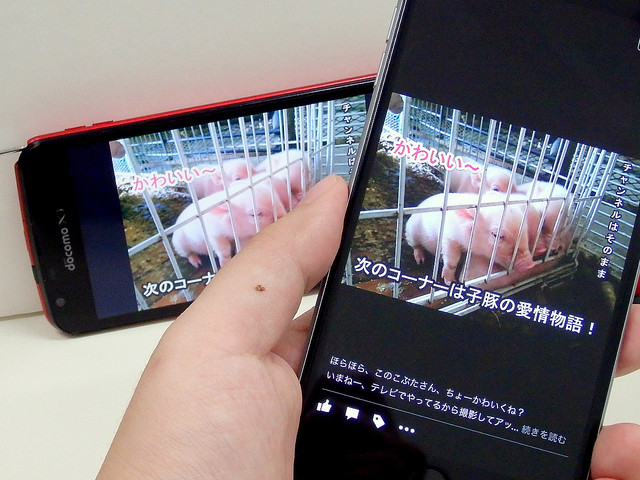 �ߤ�ʤ⤷�Ƥ��뤫�������פ���ʤ������Ť��ʤ��ȹ��ʤ���뤫�⤷��ʤ����졼��10�ĤΤ��뤢�����