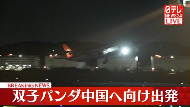 【速報】双子パンダ　中国へ向け出発　初来日から54年、国内「ゼロ」に - ライブドアニュース
