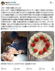 �������󥤥�����X���