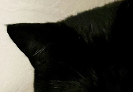 画像が削除されました