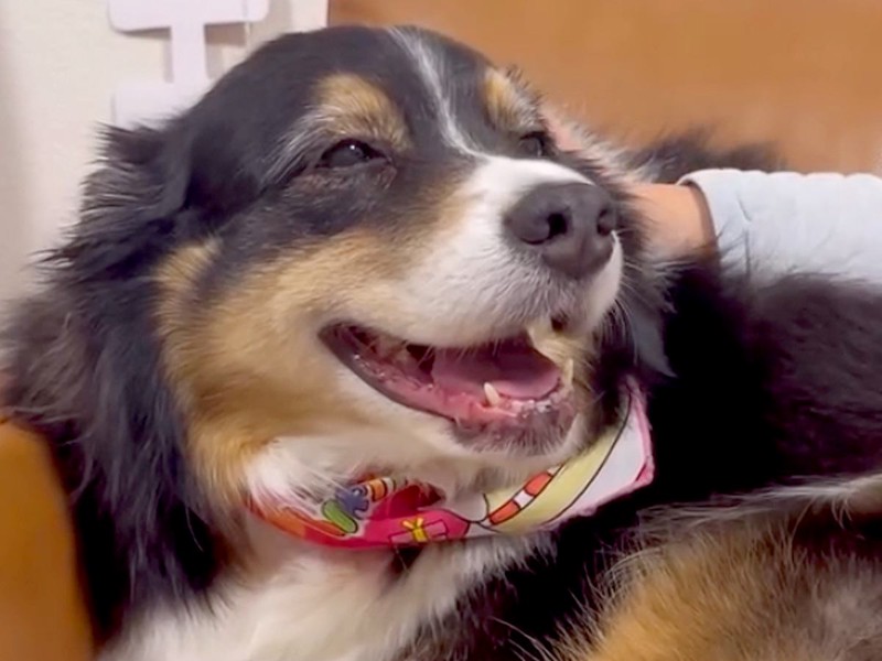 画像が削除されました