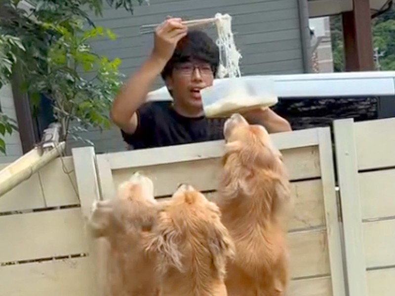 大型犬3頭が流しそうめん やりたい放題な姿に「面白すぎる」の声