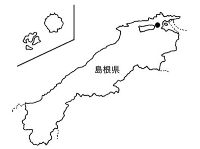 イノシシの先祖はブタだった?下顎骨の出土遺跡から解明 現代日本の野生イノシシは、弥生時代のブタの遺伝子を受け継いだ
