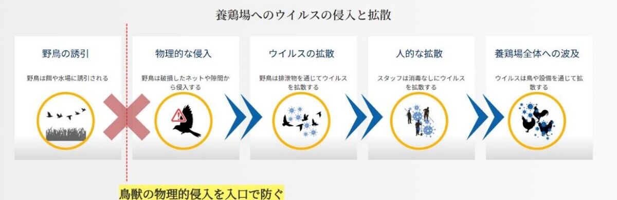 NTT東日本、千葉県の養鶏場でドローンを活用した鳥インフルエンザ対策を開始
