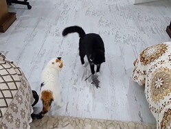 ���������ɤäƤ��뤦���ˡ�