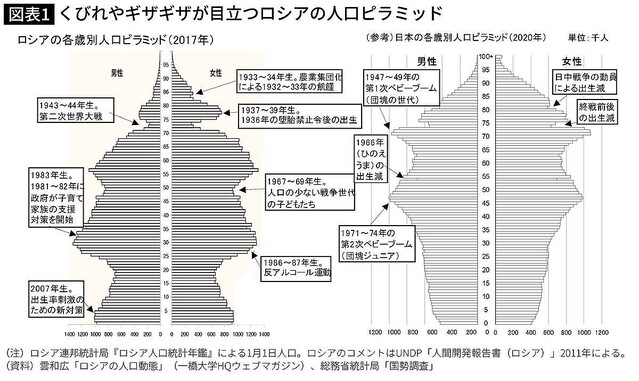 異様な クビレ がロシアの証し 人口ピラミッドに見る夥しい死者数と今なお短い寿命が示す怖い歴史 ライブドアニュース