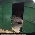 40ǯִƶפƤǤʲϡBBC News2018ǯ103աCumbria slavery probe: Man lived in shed for 40 yearsǡסGLAAˡ٤Υ꡼󥷥åȡ