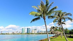 
        ����������Խ���
      