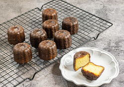  ��������Ф��Ƥ����Х������ǽ���ִ��ܤΥ��̥�ץ쥷�� 