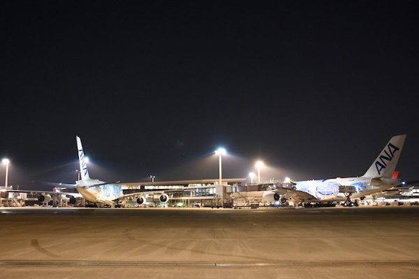 ripiさん専用／ホヌオレンジ 約50cm ripiさん専用／ホヌオレンジ 約50cm