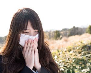 写真はイメージ