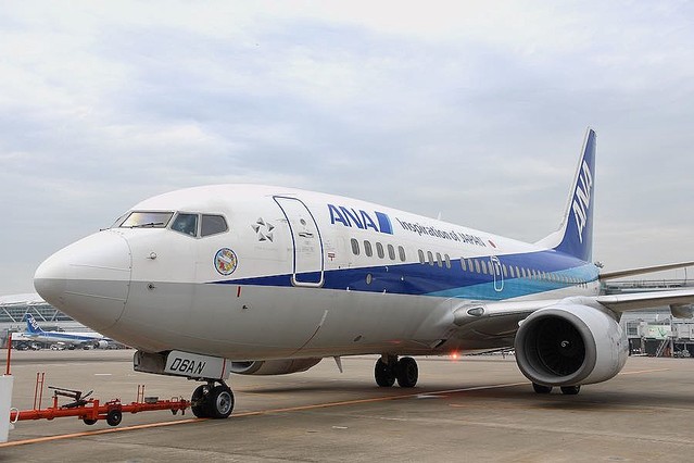 JCANA B737-700 JA06AN 退役記念 1/200 フラップ⤵︎ まだまだ飛べるの