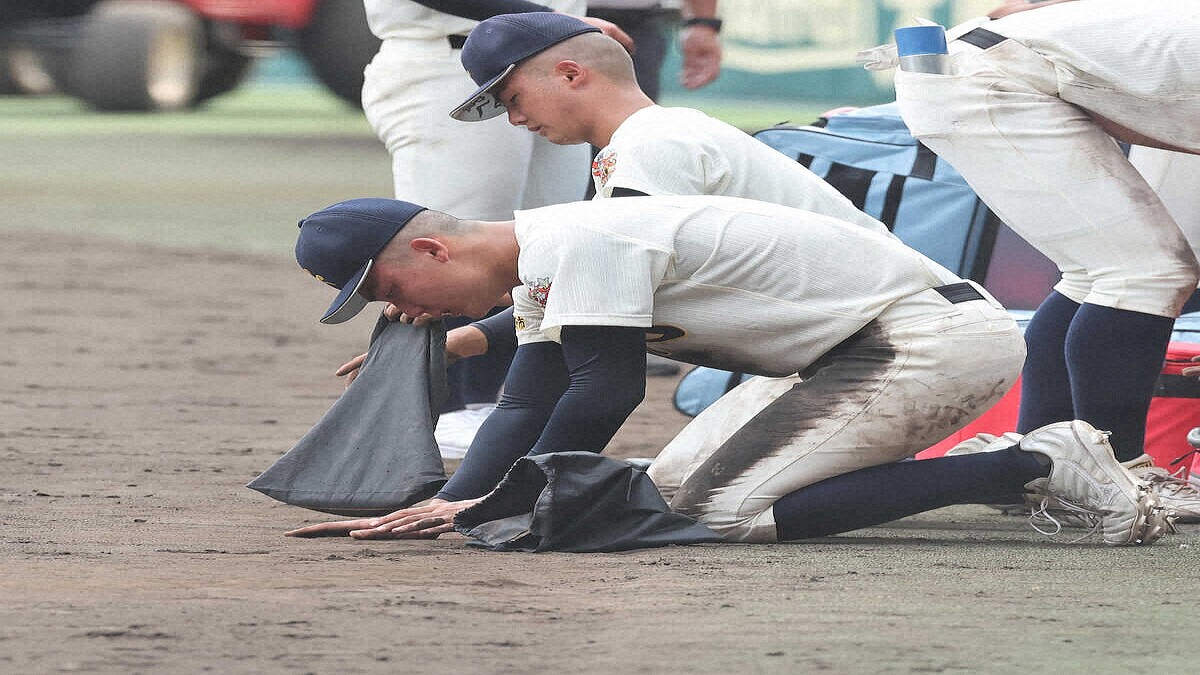 Gros nichons de salopes