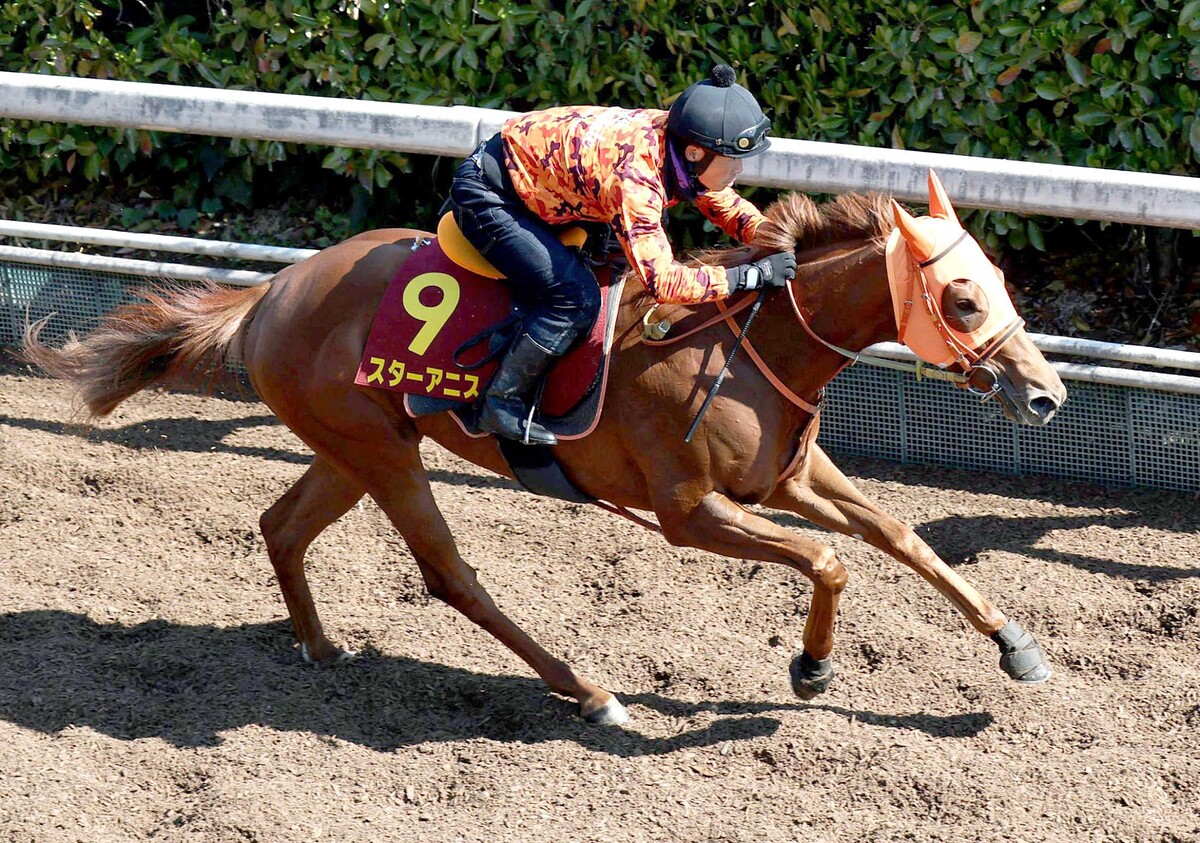 ���ס��Ǥ�ʸ��ʤ��˻ž夬�ä����������˥��ʻ��ơ����Ķ��ԡ�