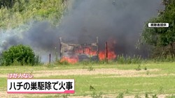 テレビ金沢NEWS