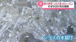 �ƥ�Ӷ���NEWS