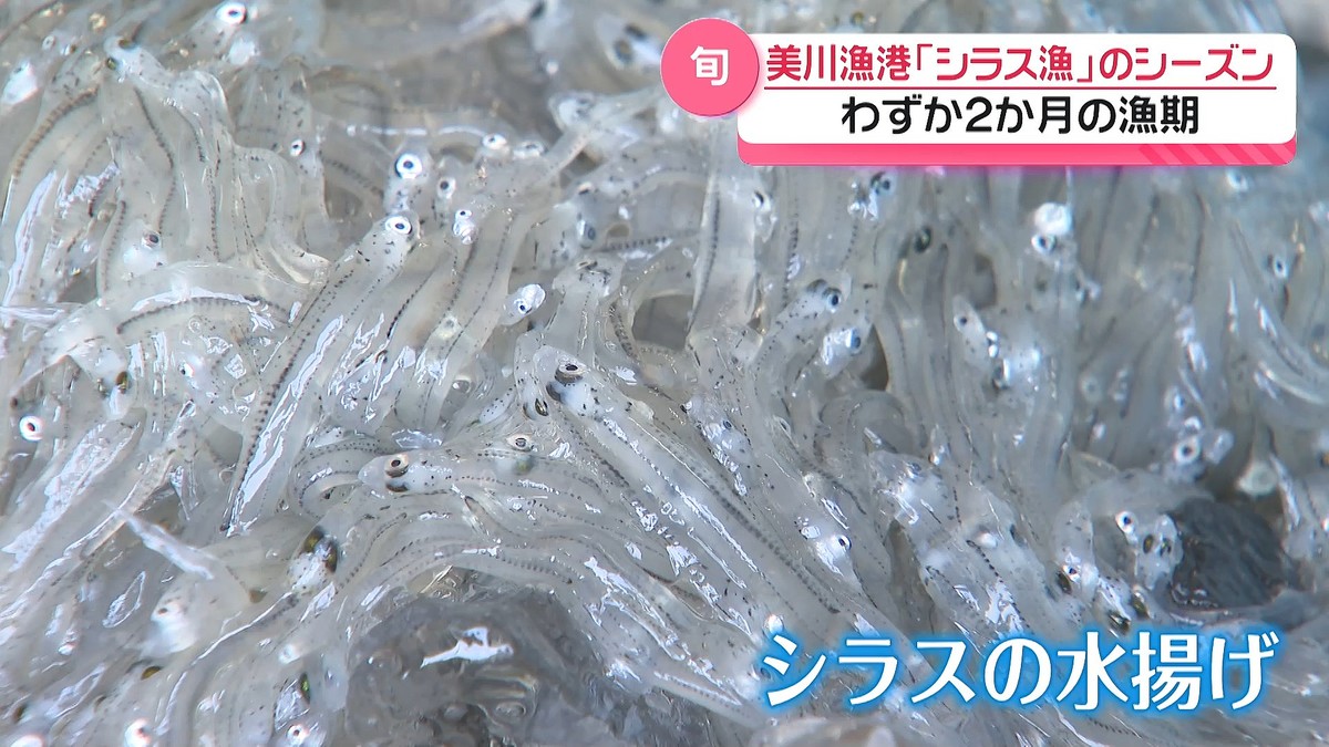 �ƥ�Ӷ���NEWS