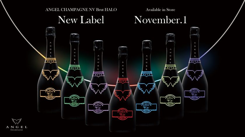 エンジェルヘイローパープル 3/15まで ANGEL CHAMPAGNE NV Brut HALO