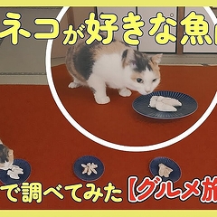 �ڸ��ڡ�ǭ�����ֹ����ʵ��ϲ��ʤΤ���5�����������Ф줿�ճ��ʵ�