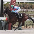 競馬界のスター 突如TBS番組登場