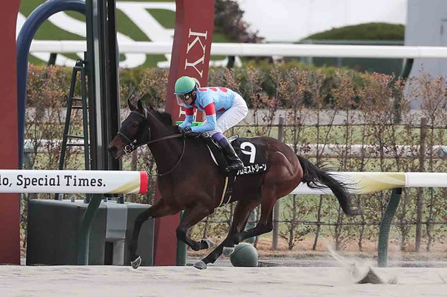 TBS系「ラヴィット！」に、競馬界のスターがサプライズ登場