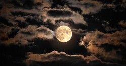 Photo: Adobe Stock