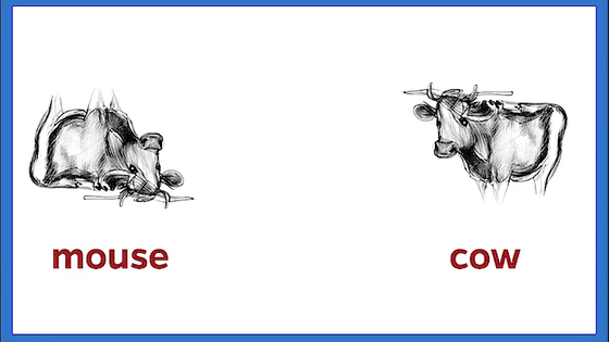 画像が削除されました