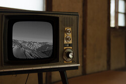 12��22���ϡֻ�İΨ�����ס�����ǹ��İΨ81.4���á���Ф������ȤȤ�