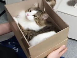 ���Τ��줷�����ʴ顪
