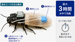 ���Ƕ��륹ー�Ĥ�3�������夹�륵����ー�������¸�
