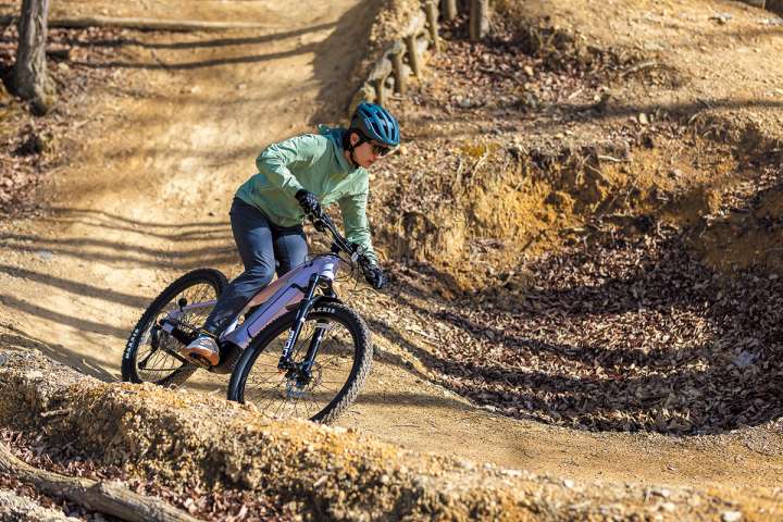 モーターとAIの進化が非日常と日常の走りをより快適に！電動アシスト自転車6台【ハイエンドVSハイコスパ 秋の趣味モノ最終ジャッジ！】