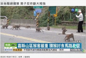 サルによる被害が深刻な台湾・嘉義県の山間部(画像は『華視新聞 2020年5月11日付「放炮驅趕獼猴 男子反炸斷大拇指」』のスクリーンショット)