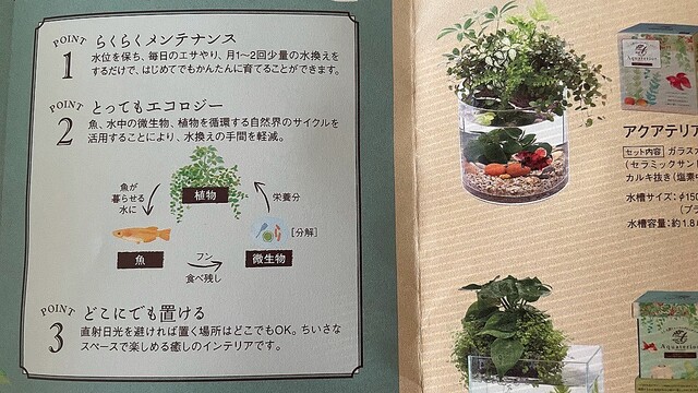 観葉植物とアクアリウムを一度に楽しめる アクアテリア ペット不可のお部屋でも 毎日心が癒やされるよ マイ定番スタイル Peachy ライブドアニュース