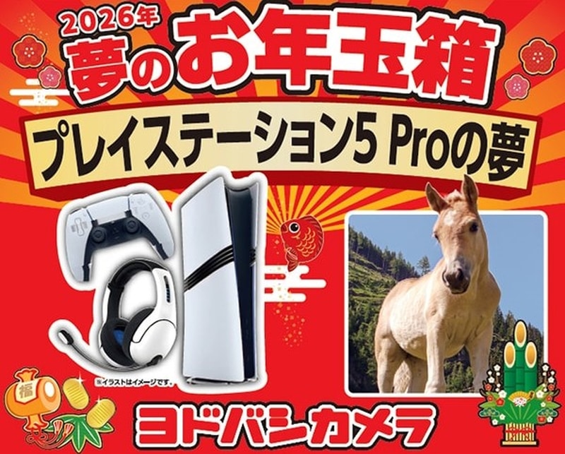 ヨドバシ福袋「2026年 夢のお年玉箱」抽選受付は本日11時59分まで