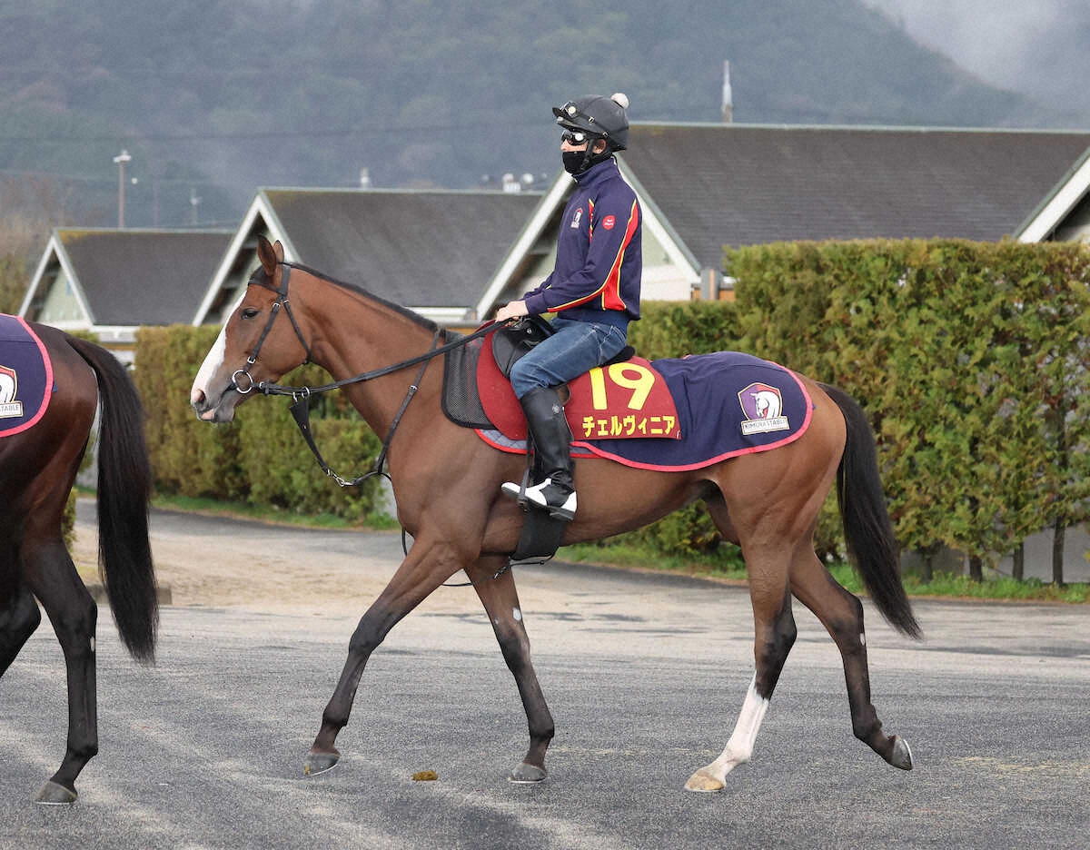 個別療法の利点