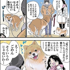 トイレ中の犬が飼い主を見つめる理由 疑問を獣医に尋ねてみた ライブドアニュース