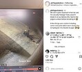 ΥåȤˤѥ󲰤ǡǰ˥ȥå򤹤ȿ͡θ塢Ź˿ʡPhillippas BakeryInstagramWe were quite surprised when we saw the security footage from a recent break in at our Bakery HQ.ס٤