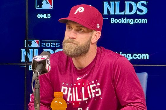 3񸫤˽ʤե꡼Υ֥饤ϡѡڼ̿ë