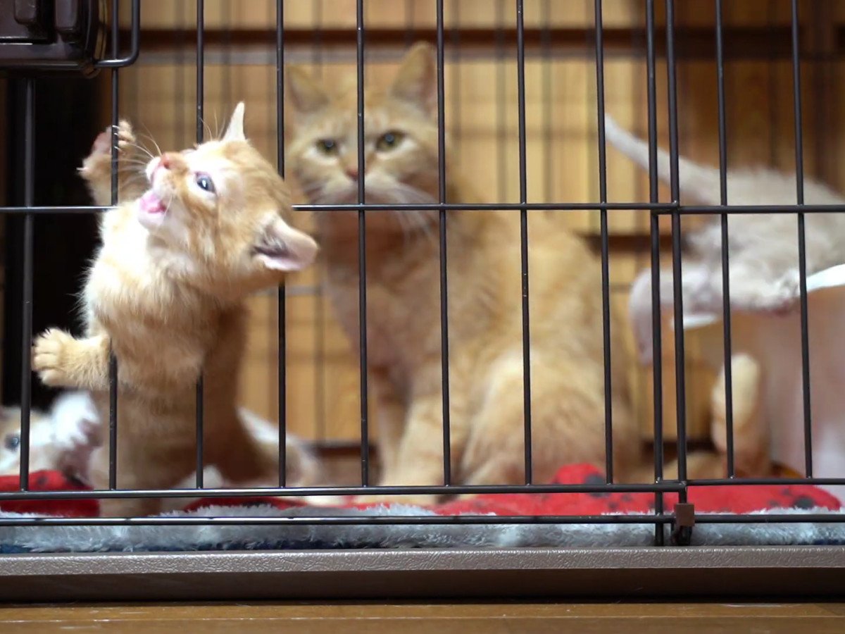 �����礵��⤪�줵��ǭ���س��