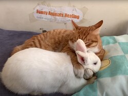 �ߤ�ʤΤ��Ȥ��繥����