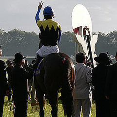 偉大な種牡馬だったディープインパクト 種馬ビジネス の仕組み ライブドアニュース