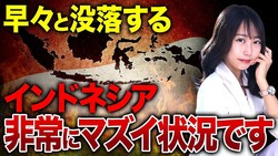 ������ư�����Ȥε��Ƥ����᤬���⡣����ɥͥ����ο����ԥ̥��󥿥餬�������Իԡפ˳ʲ������줿��ͳ