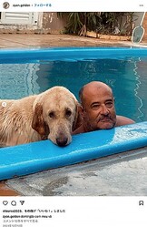 ���ڤäƤ��ڤ�ʤ���פΥ�����ǥ󡦥�ȥ�С��ȥ�����ɤ���������������������ϥס�����ä�������Ů��Ƥ���ȴ��㤤���Ƥ��ޤä��ʲ����ϡ�ZYON | Golden Retriever��2023ǯ12��10����Instagram��domingão com meu vô�ס٤Υ����꡼�󥷥�åȡ�