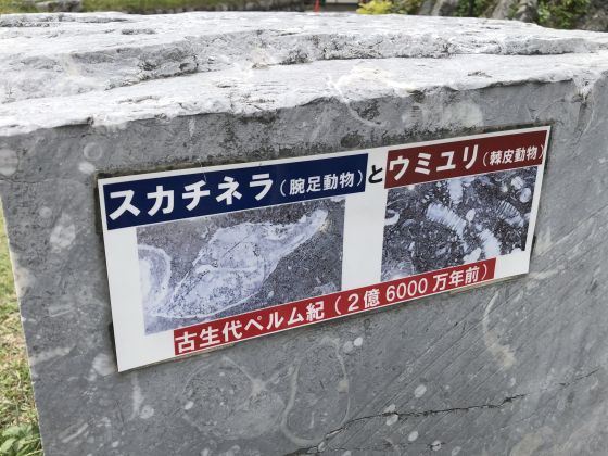 建物の中も外も化石まみれな金生山化石館に行ってきた、入館料100円で