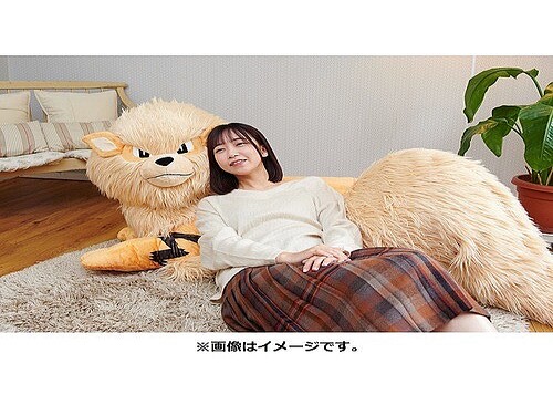 あったかもふもふ ウインディの1 2スケール添い寝ぬいぐるみ ライブドアニュース