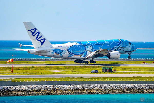 飛行機模型✕3機 フライングホヌ/那覇沖縄 飛行機模型✕3機 フライングホヌ/那覇沖縄 全日空商事 A380 ANA