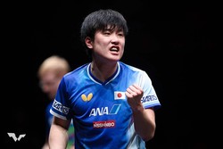 ĥ�����¡�C��WTT